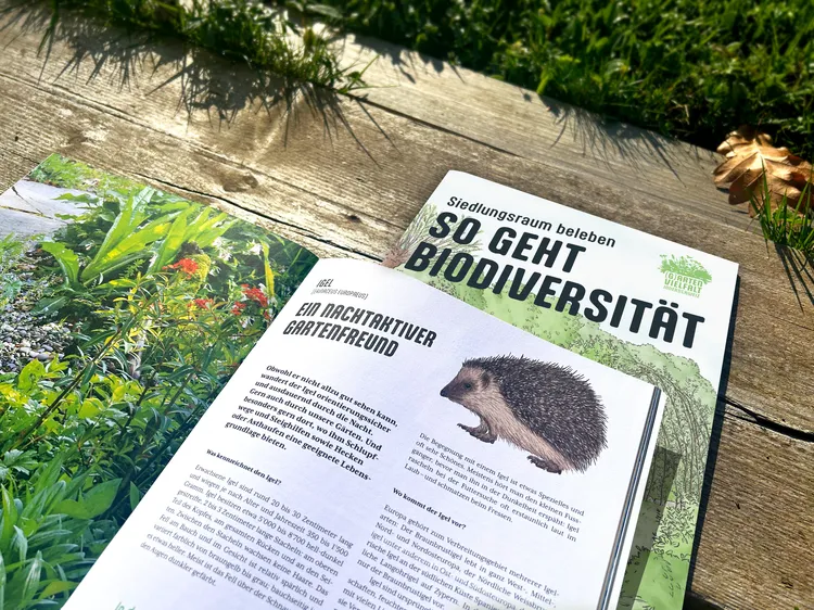 Einblick Fachbroschüre Biodiversität